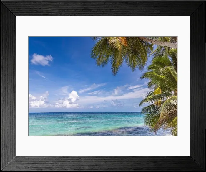 Framed Print : Tropical nature beach, palm tree leaves over exotic seascape with summer vibes. Dream travel vacation beach view, ocean horizon, idyllic scene Framed Print : Tropical nature beach, palm tree leaves over exotic seascape with summer vibes. Dream travel vacation beach view, ocean horizon, idyllic scene