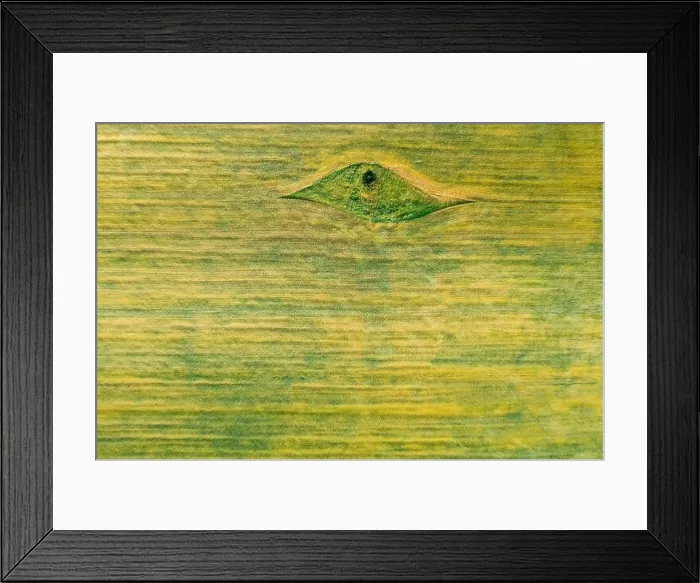Framed Print : Aerial View Of Small Green Natural Island With Green Grass In Spring Field, Summer Meadow. Beautiful Green Grass Rural Landscape In Bird's-eye View Framed Print : Aerial View Of Small Green Natural Island With Green Grass In Spring Field, Summer Meadow. Beautiful Green Grass Rural Landscape In Bird's-eye View