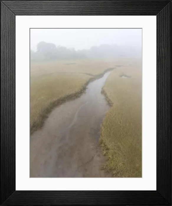 Framed Print : Fog drifts over an extensive salt marsh in Pleasant Bay, Cape Cod, Massachusetts. This type of habitat is vital feeding grounds for migrating Framed Print : Fog drifts over an extensive salt marsh in Pleasant Bay, Cape Cod, Massachusetts. This type of habitat is vital feeding grounds for migrating