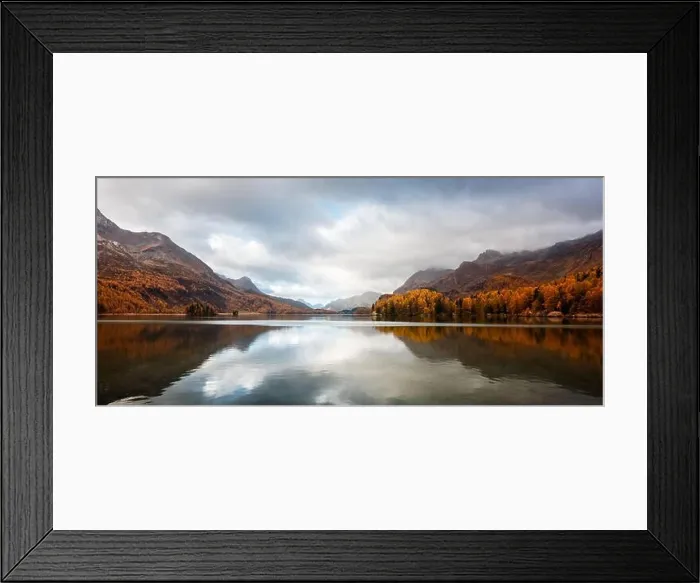 Framed Print : Panorama of atumn lake Sils (Silsersee) in Swiss Alps mountains. Colorful forest with orange larch. Switzerland, Maloja region, Upper Engadine Framed Print : Panorama of atumn lake Sils (Silsersee) in Swiss Alps mountains. Colorful forest with orange larch. Switzerland, Maloja region, Upper Engadine