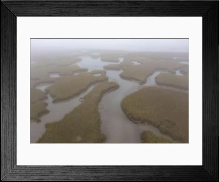 Framed Print : Fog drifts over an extensive salt marsh in Pleasant Bay, Cape Cod, Massachusetts. This type of habitat is vital feeding grounds for migrating Framed Print : Fog drifts over an extensive salt marsh in Pleasant Bay, Cape Cod, Massachusetts. This type of habitat is vital feeding grounds for migrating