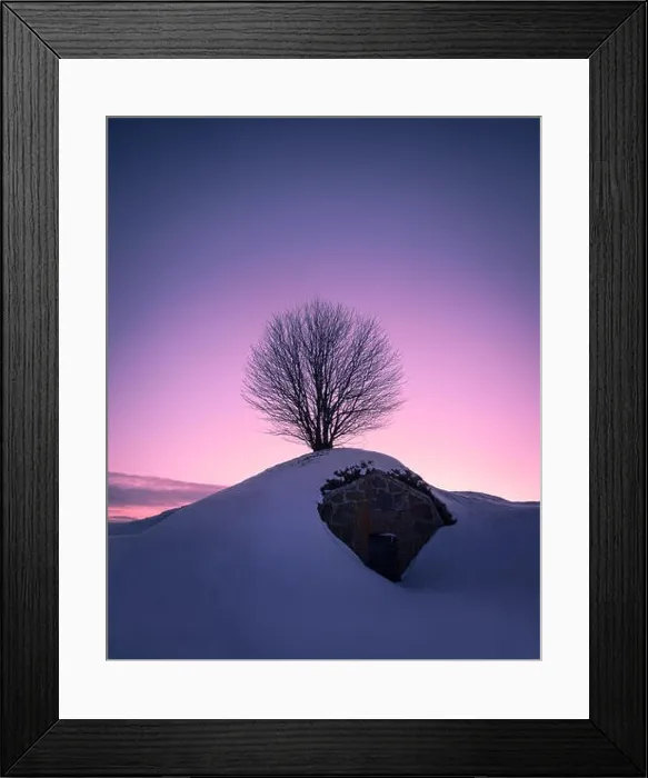 Framed Print : Scenic landscape with lonely tree against purple sky at winter evening in Helsinki, Finland Framed Print : Scenic landscape with lonely tree against purple sky at winter evening in Helsinki, Finland