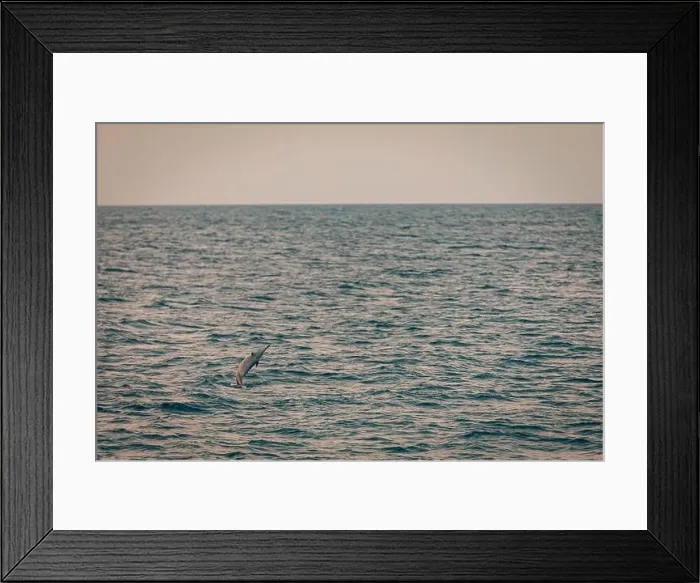 Framed Print : Beautiful sunset over the tropical sea. Beautiful landscape outdoor sea ocean and beach at sunrise or sunset. Idyllic relaxing ecology, endless ocean Framed Print : Beautiful sunset over the tropical sea. Beautiful landscape outdoor sea ocean and beach at sunrise or sunset. Idyllic relaxing ecology, endless ocean