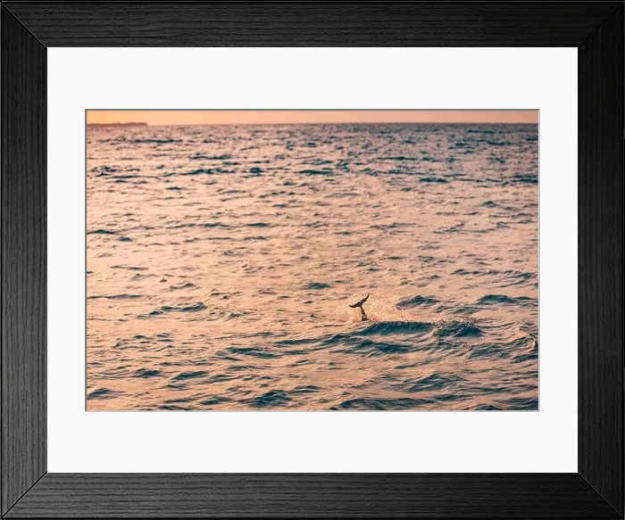 Framed Print : Beautiful sunset over the tropical sea. Beautiful landscape outdoor sea ocean and beach at sunrise or sunset. Idyllic relaxing ecology, endless ocean Framed Print : Beautiful sunset over the tropical sea. Beautiful landscape outdoor sea ocean and beach at sunrise or sunset. Idyllic relaxing ecology, endless ocean