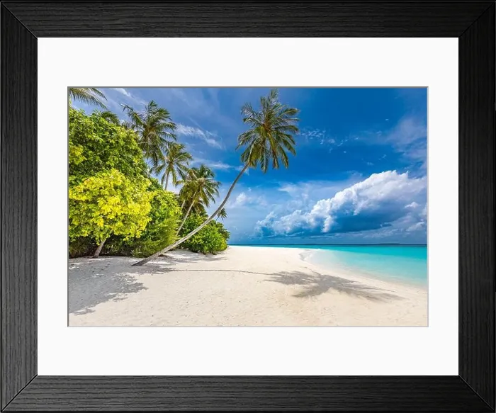 Framed Print : Maldives paradise tropical beach. Amazing view, blue turquoise lagoon water, palm trees and white sandy beach. Luxury travel vacation destination Framed Print : Maldives paradise tropical beach. Amazing view, blue turquoise lagoon water, palm trees and white sandy beach. Luxury travel vacation destination