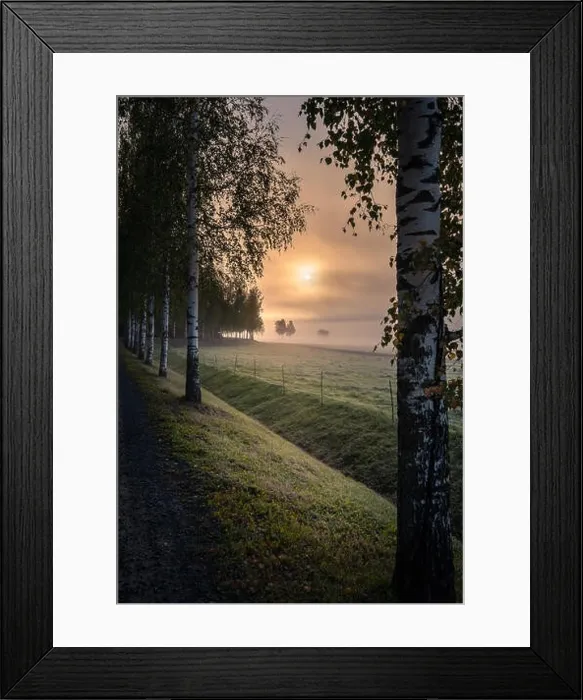 Framed Print : Idyllic sunrise landscape with road and fog at beautiful autumn morning in Finland Framed Print : Idyllic sunrise landscape with road and fog at beautiful autumn morning in Finland