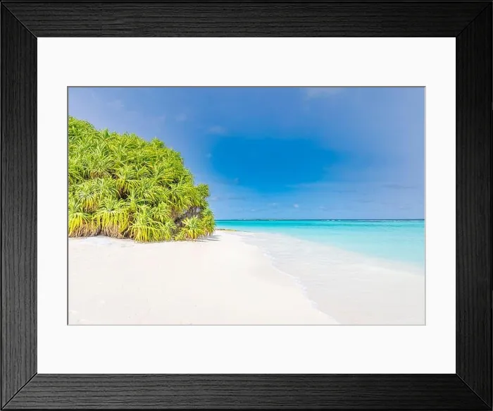 Framed Print : Beautiful Maldives islands beach with mangrove trees, white sand, light blue transparent water with coral reefs, green tropical forest plants Framed Print : Beautiful Maldives islands beach with mangrove trees, white sand, light blue transparent water with coral reefs, green tropical forest plants