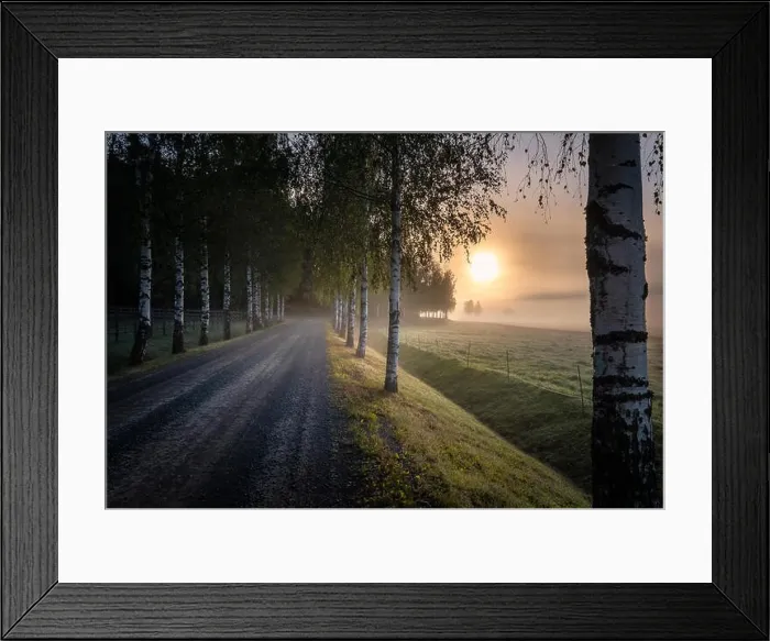 Framed Print : Idyllic sunrise landscape with road and fog at beautiful autumn morning in Finland Framed Print : Idyllic sunrise landscape with road and fog at beautiful autumn morning in Finland