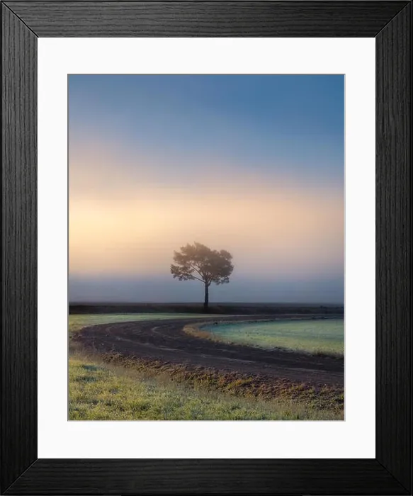 Framed Print : Lonely tree against a blue sky at sunrise. Autumn landscape with a lone tree with foggy in Finland Framed Print : Lonely tree against a blue sky at sunrise. Autumn landscape with a lone tree with foggy in Finland