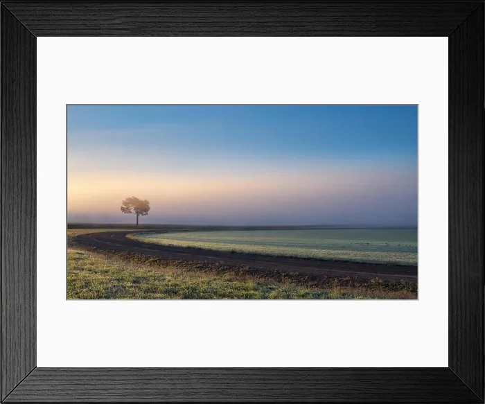 Framed Print : Lonely tree against a blue sky at sunrise. Autumn landscape with a lone tree with foggy in Finland Framed Print : Lonely tree against a blue sky at sunrise. Autumn landscape with a lone tree with foggy in Finland