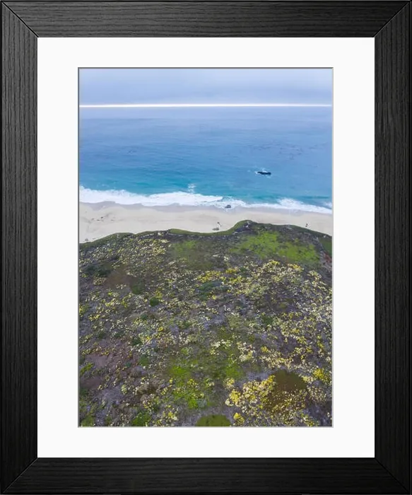 Framed Print : The cold, nutrient-rich waters of the North Pacific Ocean wash against a scenic beach in Northern California not far from Monterey Framed Print : The cold, nutrient-rich waters of the North Pacific Ocean wash against a scenic beach in Northern California not far from Monterey