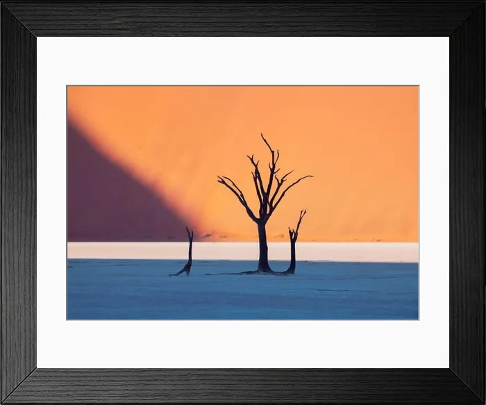 Framed Print : Dead Camelthorn Trees at sunrise, Deadvlei, Namib-Naukluft National Park, Namibia, Africa. Dried trees in Namib desert. Landscape photography Framed Print : Dead Camelthorn Trees at sunrise, Deadvlei, Namib-Naukluft National Park, Namibia, Africa. Dried trees in Namib desert. Landscape photography