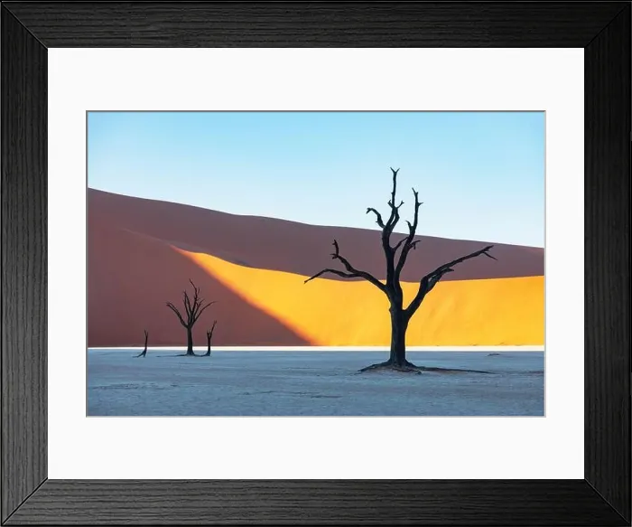 Framed Print : Dead Camelthorn Trees at sunrise, Deadvlei, Namib-Naukluft National Park, Namibia, Africa. Dried trees in Namib desert. Landscape photography Framed Print : Dead Camelthorn Trees at sunrise, Deadvlei, Namib-Naukluft National Park, Namibia, Africa. Dried trees in Namib desert. Landscape photography