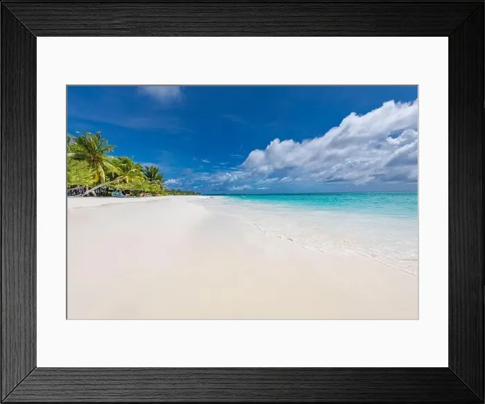 Framed Print : Beautiful beach palm trees and moody sky. Summer vacation travel holiday background concept. Maldives paradise beach. Luxury travel summer holiday Framed Print : Beautiful beach palm trees and moody sky. Summer vacation travel holiday background concept. Maldives paradise beach. Luxury travel summer holiday