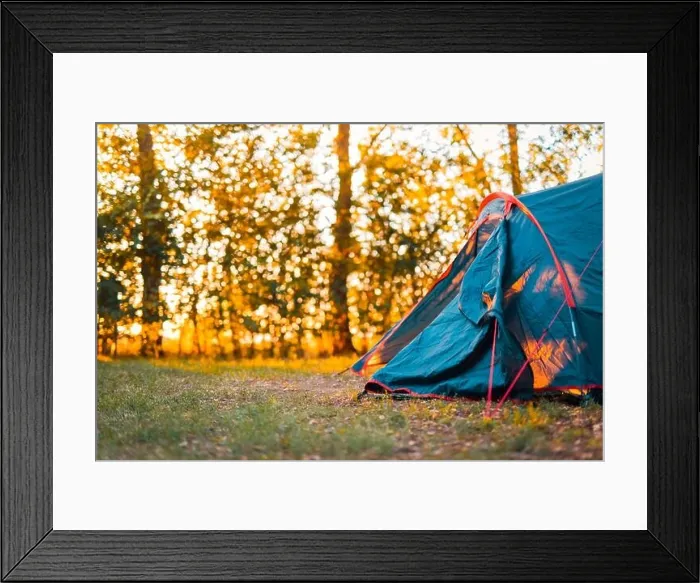 Framed Print : Beautiful sunbeams through the forest leaves, trees. Spring summer nature meadow blurred landscape. Morning shadows and lights, hiking, recreational Framed Print : Beautiful sunbeams through the forest leaves, trees. Spring summer nature meadow blurred landscape. Morning shadows and lights, hiking, recreational