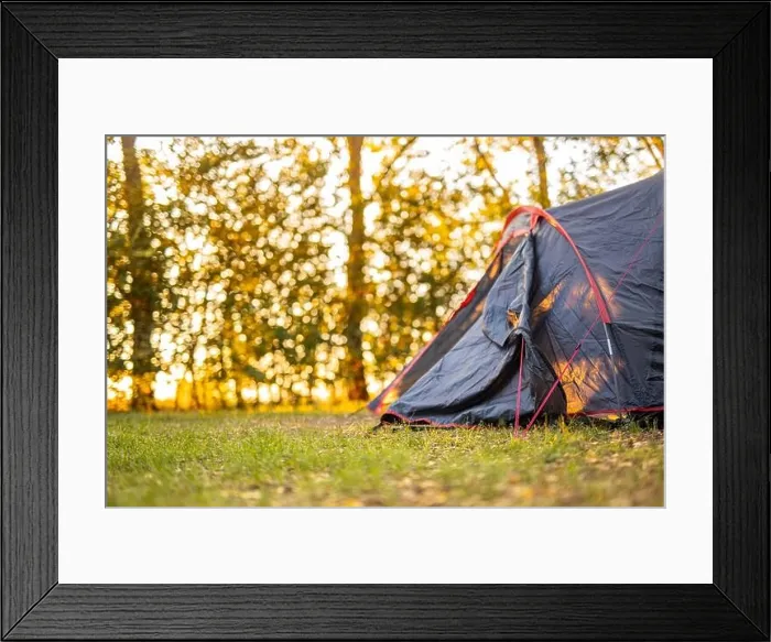 Framed Print : Beautiful sunbeams through the forest leaves, trees. Spring summer nature meadow blurred landscape. Morning shadows and lights, hiking, recreational Framed Print : Beautiful sunbeams through the forest leaves, trees. Spring summer nature meadow blurred landscape. Morning shadows and lights, hiking, recreational