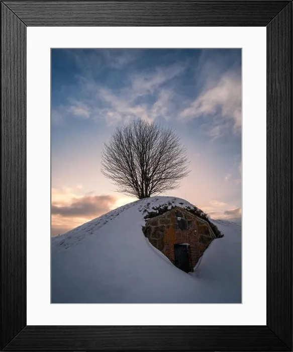 Framed Print : Scenic landscape with tree silhouette and sunset at evening in Suomenlinna, Helsinki, Finland Framed Print : Scenic landscape with tree silhouette and sunset at evening in Suomenlinna, Helsinki, Finland