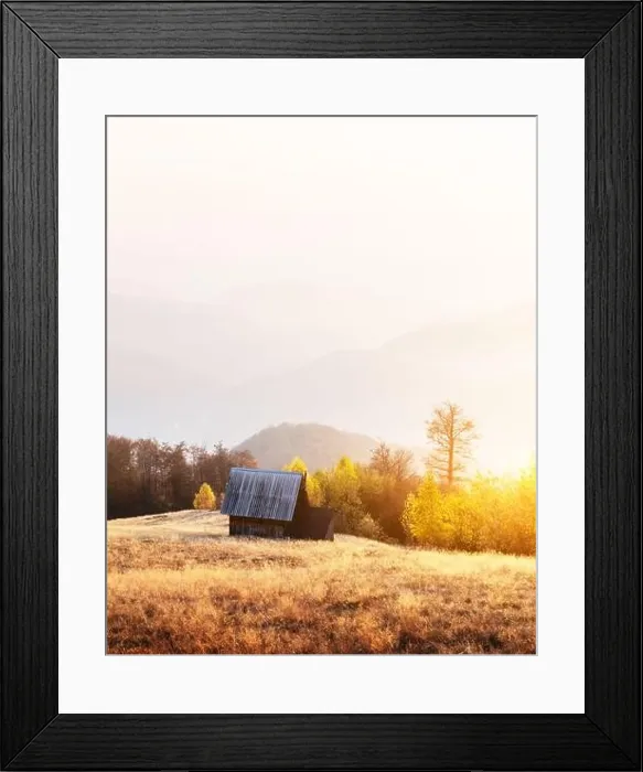Framed Print : Picturesque autumn meadow with wooden house and red beech trees in the Carpathian mountains, Ukraine. Landscape photography Framed Print : Picturesque autumn meadow with wooden house and red beech trees in the Carpathian mountains, Ukraine. Landscape photography