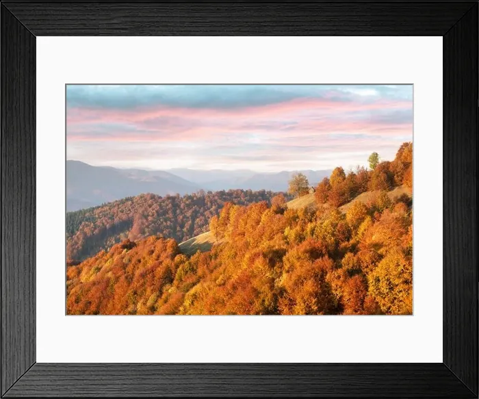 Framed Print : Picturesque autumn forest with wooden house and red beech trees in the Carpathian mountains, Ukraine. Landscape photography Framed Print : Picturesque autumn forest with wooden house and red beech trees in the Carpathian mountains, Ukraine. Landscape photography