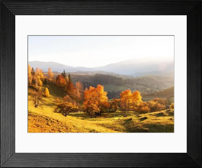 Framed Print : Amazing scene on autumn mountains. Yellow and orange trees in fantastic morning sunlight. Carpathians, Europe. Landscape photography Framed Print : Amazing scene on autumn mountains. Yellow and orange trees in fantastic morning sunlight. Carpathians, Europe. Landscape photography