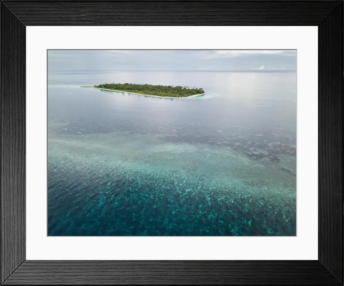 Framed Print : A beautiful coral reef grows near a remote Indonesian island in the Banda Sea. This region is in the Coral Triangle and has high marine biodiversity Framed Print : A beautiful coral reef grows near a remote Indonesian island in the Banda Sea. This region is in the Coral Triangle and has high marine biodiversity