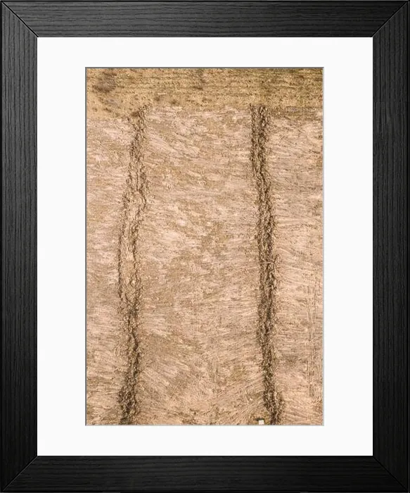 Framed Print : Aerial View Of Deforestation For Territory Of Future Field. Flat View, Natural Agricultural Background Framed Print : Aerial View Of Deforestation For Territory Of Future Field. Flat View, Natural Agricultural Background