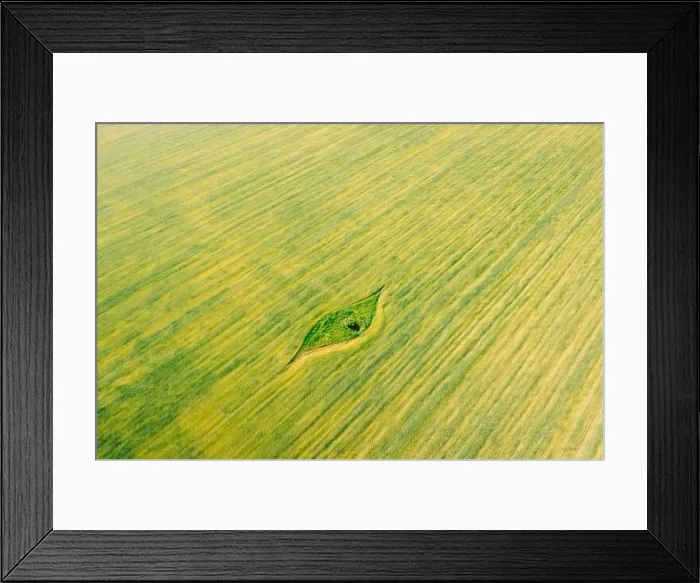 Framed Print : Aerial View Of Small Green Natural Island With Green Grass In Summer Field, Summer Meadow. Beautiful Green Grass Rural Landscape In Bird's-eye View Framed Print : Aerial View Of Small Green Natural Island With Green Grass In Summer Field, Summer Meadow. Beautiful Green Grass Rural Landscape In Bird's-eye View