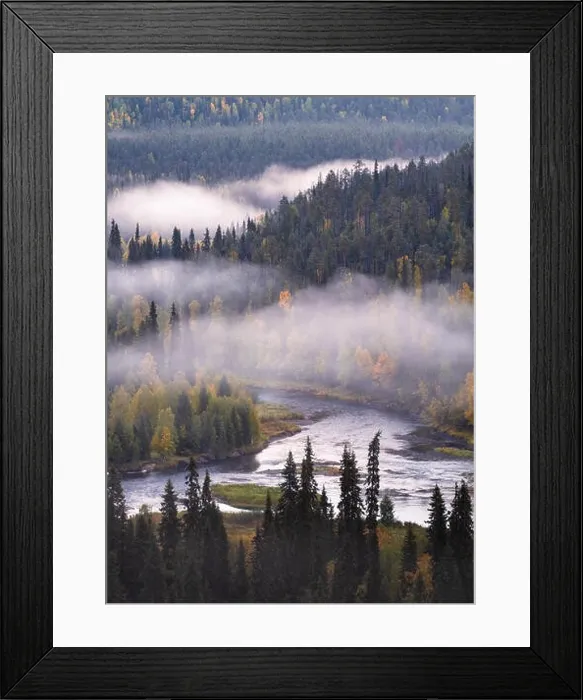 Framed Print : Scenic landscape view with morning fog and fall colors at moody day in Kuusamo, Finland Framed Print : Scenic landscape view with morning fog and fall colors at moody day in Kuusamo, Finland