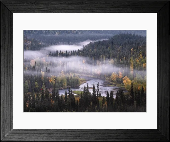Framed Print : Scenic landscape view with morning fog and fall colors at moody day in Kuusamo, Finland Framed Print : Scenic landscape view with morning fog and fall colors at moody day in Kuusamo, Finland