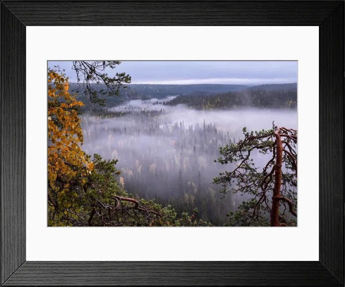 Framed Print : Scenic landscape view with morning fog and fall colors at moody day in Kuusamo, Finland Framed Print : Scenic landscape view with morning fog and fall colors at moody day in Kuusamo, Finland