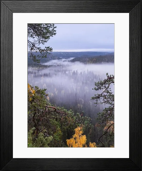 Framed Print : Scenic landscape view with morning fog and fall colors at moody day in Kuusamo, Finland Framed Print : Scenic landscape view with morning fog and fall colors at moody day in Kuusamo, Finland