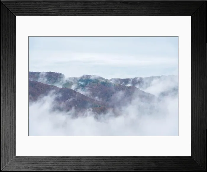 Framed Print : Amazing flowing morning fog in autumn mountains. Spruce forest trees in fantastic morning sunlight. Landscape photography