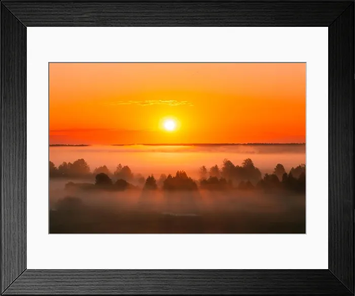 Framed Print : Amazing Sunrise Over Misty Landscape. Scenic View Of Foggy Morning Sky With Rising Sun Above Misty Forest. Middle Summer Nature Of Europe Framed Print : Amazing Sunrise Over Misty Landscape. Scenic View Of Foggy Morning Sky With Rising Sun Above Misty Forest. Middle Summer Nature Of Europe