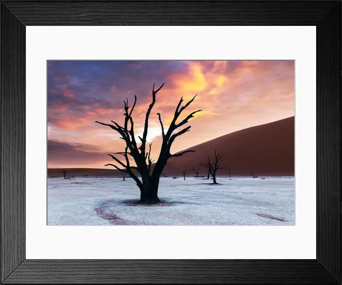 Framed Print : Dead Camelthorn Trees at sunset, Deadvlei, Namib-Naukluft National Park, Namibia, Africa. Dried trees in Namib desert. Landscape photography Framed Print : Dead Camelthorn Trees at sunset, Deadvlei, Namib-Naukluft National Park, Namibia, Africa. Dried trees in Namib desert. Landscape photography