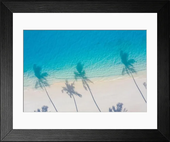 Framed Print : Aerial beach, beautiful coastline. Palm trees and amazing sea lagoon. Turquoise water, white sand with palm tree shadow, sunny day, tropical paradise Framed Print : Aerial beach, beautiful coastline. Palm trees and amazing sea lagoon. Turquoise water, white sand with palm tree shadow, sunny day, tropical paradise
