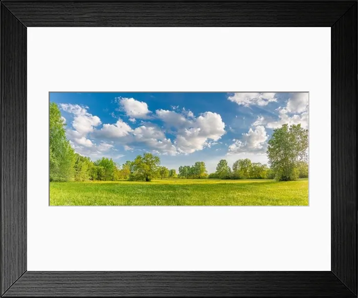 Framed Print : Sunny spring summer landscape, green forest trees, meadow flowers field panoramic vibrant rural nature with cloudy blue sky. Idyllic nature scenic Framed Print : Sunny spring summer landscape, green forest trees, meadow flowers field panoramic vibrant rural nature with cloudy blue sky. Idyllic nature scenic