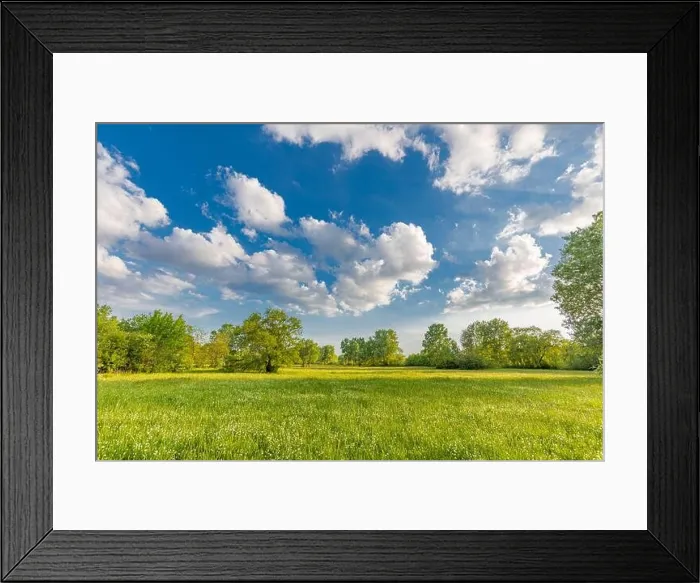 Framed Print : Sunny spring summer landscape, green forest trees, meadow flowers field panoramic vibrant rural nature with cloudy blue sky. Idyllic nature scenic Framed Print : Sunny spring summer landscape, green forest trees, meadow flowers field panoramic vibrant rural nature with cloudy blue sky. Idyllic nature scenic