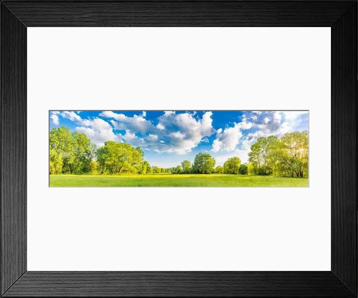Framed Print : Sunny spring summer landscape, green forest trees, meadow flowers field panoramic vibrant rural nature with cloudy blue sky. Idyllic nature scenic Framed Print : Sunny spring summer landscape, green forest trees, meadow flowers field panoramic vibrant rural nature with cloudy blue sky. Idyllic nature scenic