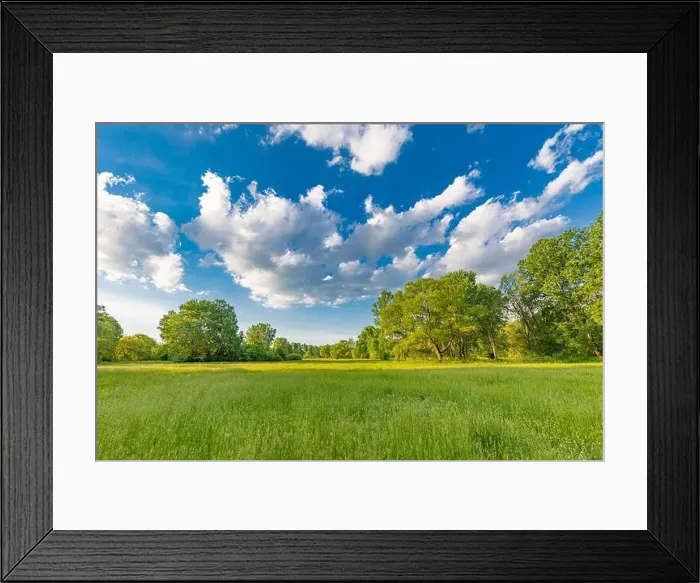 Framed Print : Sunny spring summer landscape, green forest trees, meadow flowers field panoramic vibrant rural nature with cloudy blue sky. Idyllic nature scenic Framed Print : Sunny spring summer landscape, green forest trees, meadow flowers field panoramic vibrant rural nature with cloudy blue sky. Idyllic nature scenic