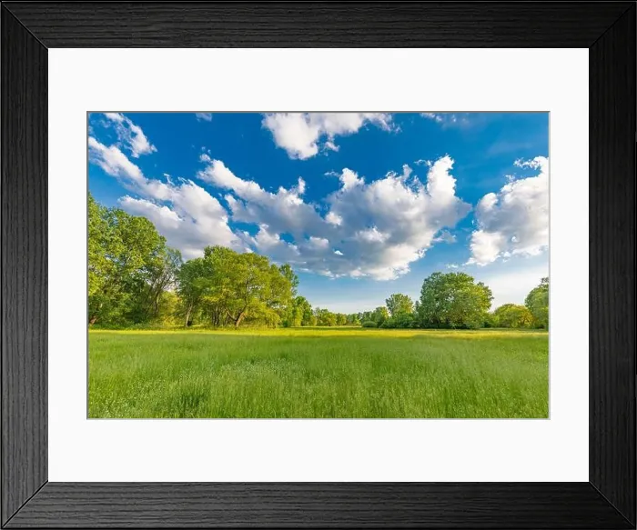 Framed Print : Sunny spring summer landscape, green forest trees, meadow flowers field panoramic vibrant rural nature with cloudy blue sky. Idyllic nature scenic Framed Print : Sunny spring summer landscape, green forest trees, meadow flowers field panoramic vibrant rural nature with cloudy blue sky. Idyllic nature scenic