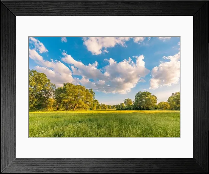 Framed Print : Sunny spring summer landscape, green forest trees, meadow flowers field panoramic vibrant rural nature with cloudy blue sky. Idyllic nature scenic Framed Print : Sunny spring summer landscape, green forest trees, meadow flowers field panoramic vibrant rural nature with cloudy blue sky. Idyllic nature scenic