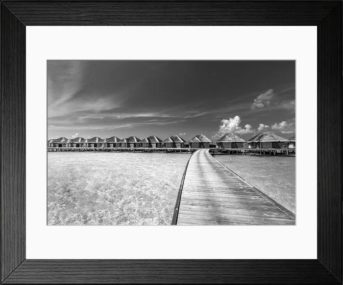 Framed Print : Perfect black and white beach scene. Sunset, sunrise silhouette of coconut palm tree with sun loungers and umbrella. Abstract, artistic holiday Framed Print : Perfect black and white beach scene. Sunset, sunrise silhouette of coconut palm tree with sun loungers and umbrella. Abstract, artistic holiday