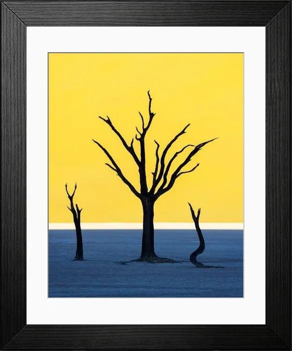 Framed Print : Dead Camelthorn Trees at sunrise, Deadvlei, Namib-Naukluft National Park, Namibia, Africa. Dried trees in Namib desert. Landscape photography Framed Print : Dead Camelthorn Trees at sunrise, Deadvlei, Namib-Naukluft National Park, Namibia, Africa. Dried trees in Namib desert. Landscape photography