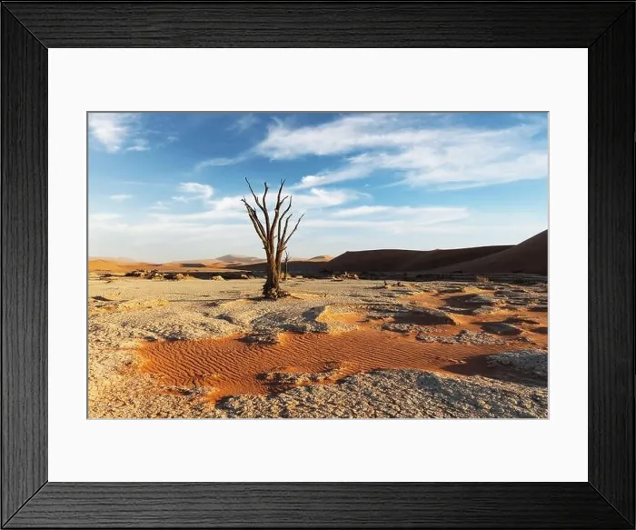 Framed Print : Dead Camelthorn Trees at sunrise, Deadvlei, Namib-Naukluft National Park, Namibia, Africa. Dried trees in Namib desert. Landscape photography Framed Print : Dead Camelthorn Trees at sunrise, Deadvlei, Namib-Naukluft National Park, Namibia, Africa. Dried trees in Namib desert. Landscape photography