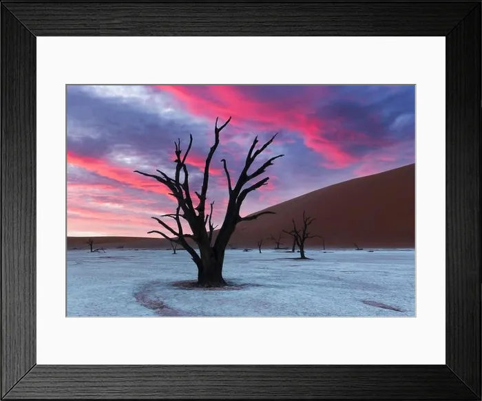Framed Print : Dead Camelthorn Trees at sunset, Deadvlei, Namib-Naukluft National Park, Namibia, Africa. Dried trees in Namib desert. Landscape photography Framed Print : Dead Camelthorn Trees at sunset, Deadvlei, Namib-Naukluft National Park, Namibia, Africa. Dried trees in Namib desert. Landscape photography