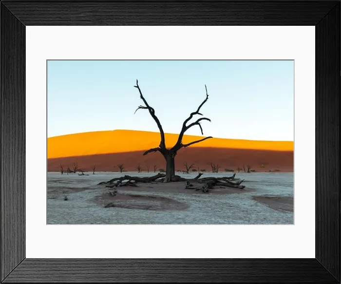Framed Print : Dead Camelthorn Trees at sunrise, Deadvlei, Namib-Naukluft National Park, Namibia, Africa. Dried trees in Namib desert. Landscape photography Framed Print : Dead Camelthorn Trees at sunrise, Deadvlei, Namib-Naukluft National Park, Namibia, Africa. Dried trees in Namib desert. Landscape photography