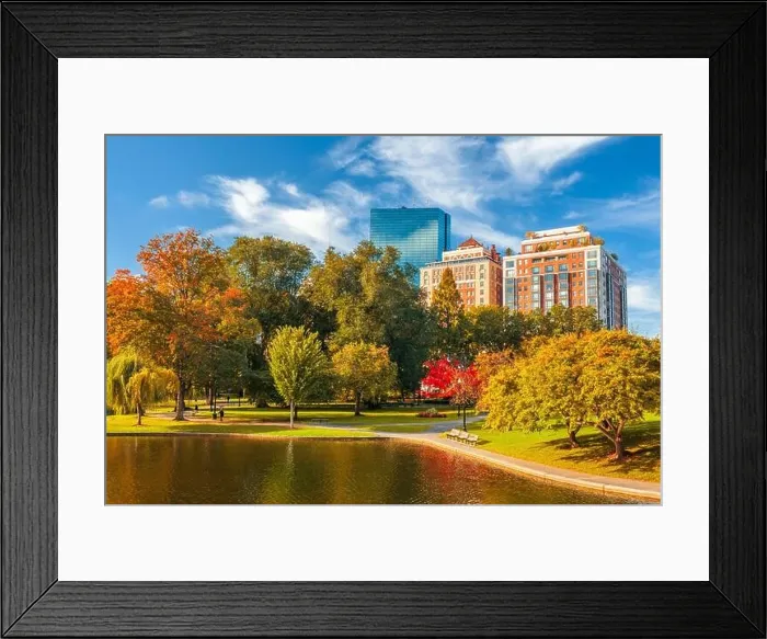 Framed Print : Boston, Massachusetts, USA at Boston Public Garden in the autumn season Framed Print : Boston, Massachusetts, USA at Boston Public Garden in the autumn season