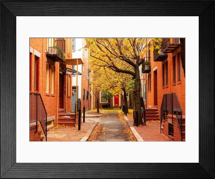 Framed Print : Autumn alleyway in a traditional neighborhood in Philadelphia, Pennsylvania, USA Framed Print : Autumn alleyway in a traditional neighborhood in Philadelphia, Pennsylvania, USA