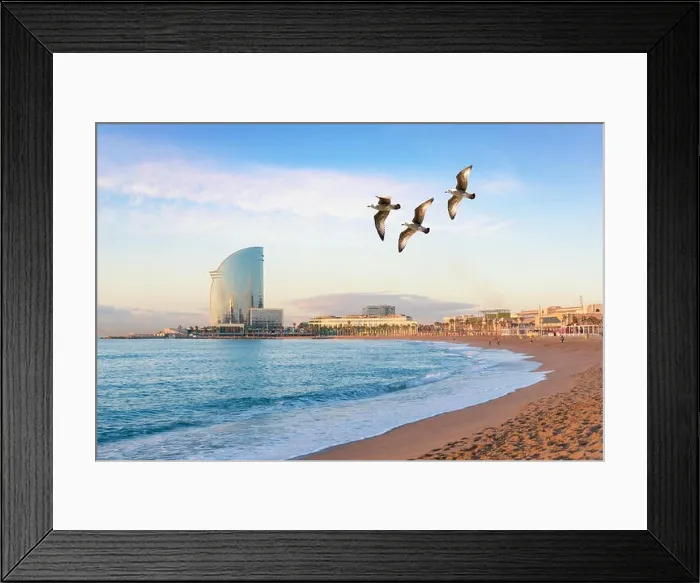 Framed Print : Barceloneta Beach in Barcelona with colorful sky at sunrise. Seafront, beach, coast in Spain. Suburb of Barcelona, Catalonia Framed Print : Barceloneta Beach in Barcelona with colorful sky at sunrise. Seafront, beach, coast in Spain. Suburb of Barcelona, Catalonia