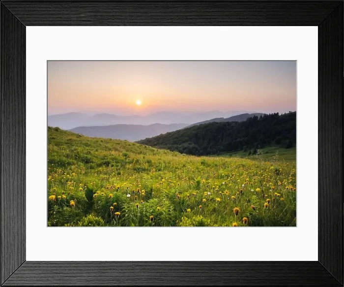 Framed Print : Amazing scene in summer mountains. Lush green grassy meadows in fantastic evening sunlight. Carpathians, Europe. Landscape photography Framed Print : Amazing scene in summer mountains. Lush green grassy meadows in fantastic evening sunlight. Carpathians, Europe. Landscape photography